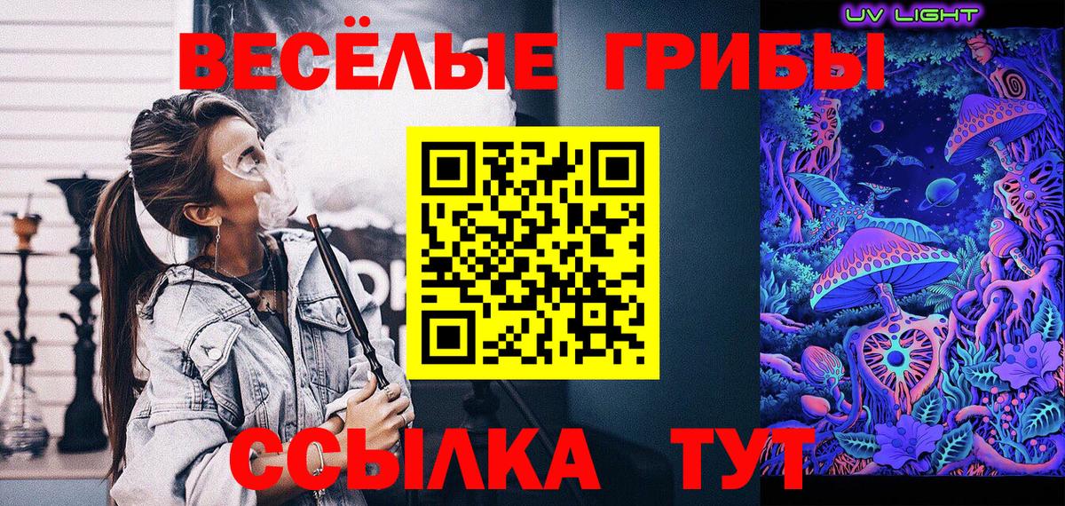 Псилоцибиновые грибы мицелий Верхняя Салда